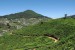07465 0706 Nuwara Eliya, vylet Single Tree Mountain - Shantfipura